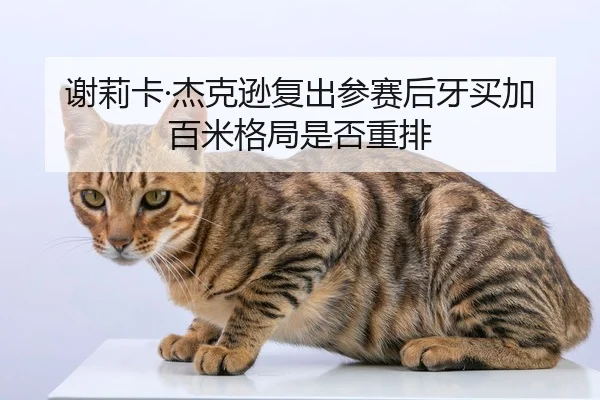 xie-li-ka-jie-ke-xun-fu-chu-can-sai-hou-ya-mai-jia-bai-mi-ge-ju-shi-fou-zhong-pai-2-356.jpg