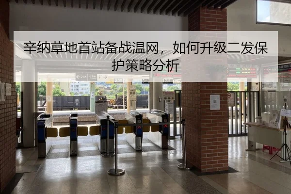 辛纳草地首站备战温网，如何升级二发保护策略分析