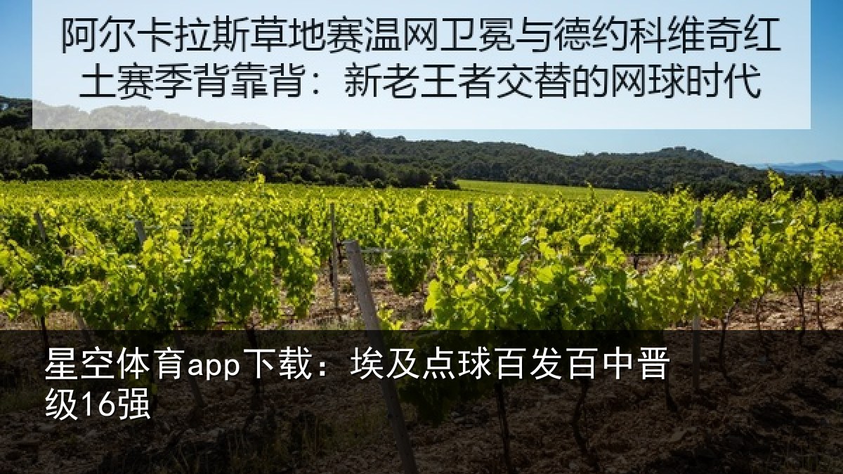 星空体育app下载：埃及点球百发百中晋级16强