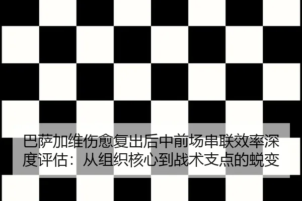 ba-sa-jia-wei-shang-yu-fu-chu-hou-zhong-qian-chang-chuan-lian-xiao-lv-shen-du-ping-gu-cong-zu-zhi-he-xin-dao-zhan-shu-3-441.jpg
