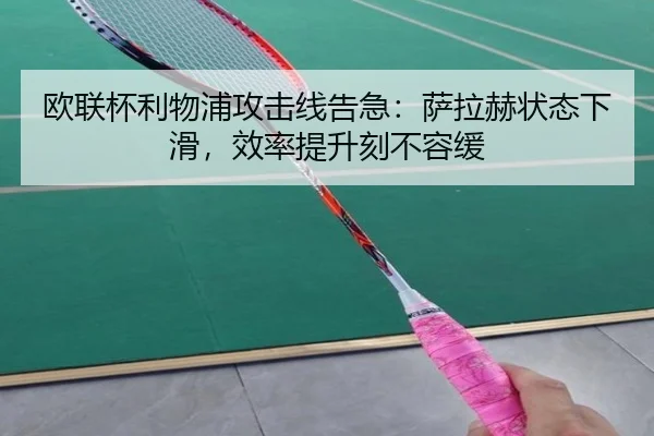 ou-lian-bei-li-wu-pu-gong-ji-xian-gao-ji-sa-la-he-zhuang-tai-xia-hua-xiao-lv-ti-sheng-ke-bu-rong-huan-2-489.jpg