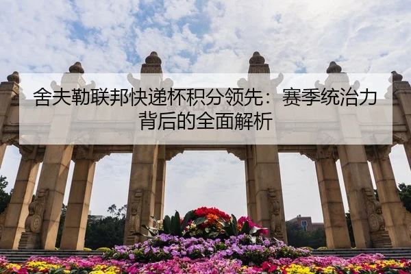 she-fu-lei-lian-bang-kuai-di-bei-ji-fen-ling-xian-sai-ji-tong-zhi-li-bei-hou-de-quan-mian-jie-xi-3-507.jpg